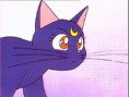 /album/galeria-de-luna/luna04-jpg/