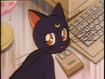 /album/galeria-de-luna/luna06-jpg/