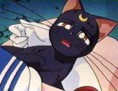 /album/galeria-de-luna/luna27-jpg/