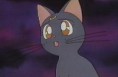 /album/galeria-de-luna/luna28-jpg/