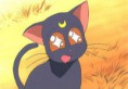 /album/galeria-de-luna/lunaeye-jpg/