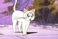 /album/galeria-de-artemis/artemis23-jpg/